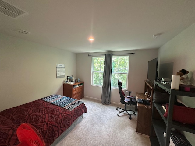 2757 Thornton Grove Blvd Unit 200, Nashville, TN 37207 - photo 8