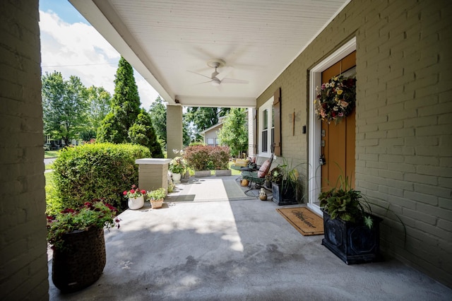 717 N Church St, Murfreesboro, TN 37130 - photo 3