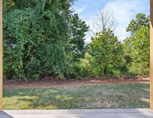 309 Mable Viola Ct, Clarksville, TN 37042 - photo 48