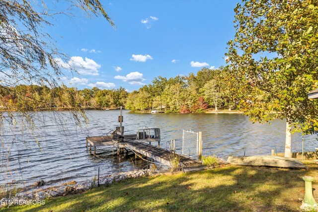 178 Idlewild Dr, Sparta, TN 38583 - photo 52