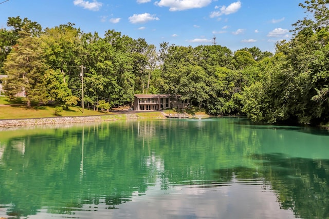 129 Mallard Dr, Hendersonville, TN 37075 - photo 57