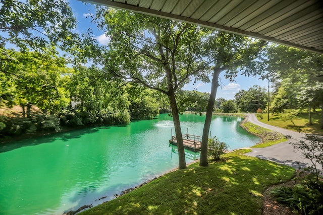 129 Mallard Dr, Hendersonville, TN 37075 - photo 61