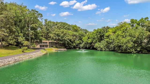 129 Mallard Dr, Hendersonville, TN 37075 - photo 55