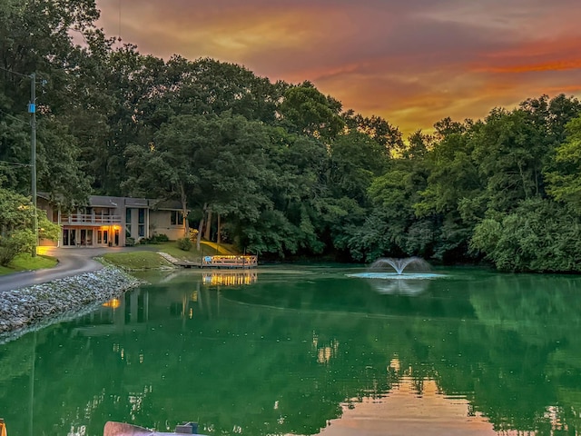 129 Mallard Dr, Hendersonville, TN 37075 - photo 50