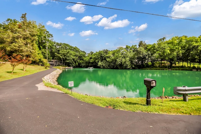 129 Mallard Dr, Hendersonville, TN 37075 - photo 58