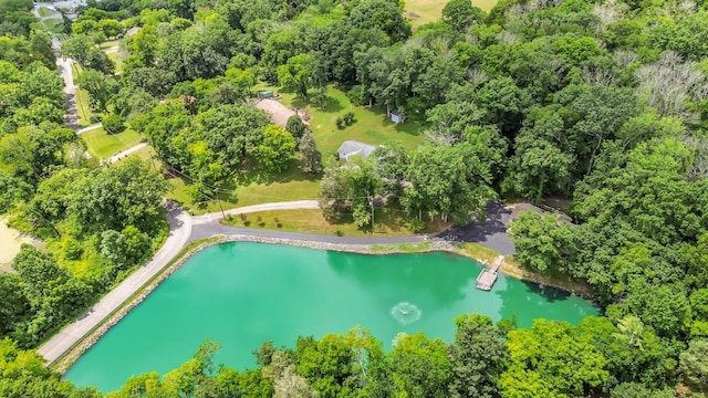 129 Mallard Dr, Hendersonville, TN 37075 - photo 52