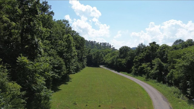 0 Hackett Hollow Ln, Pleasant Shade, TN 37145 - photo 9