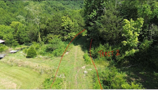 0 Hackett Hollow Ln, Pleasant Shade, TN 37145 - photo 13