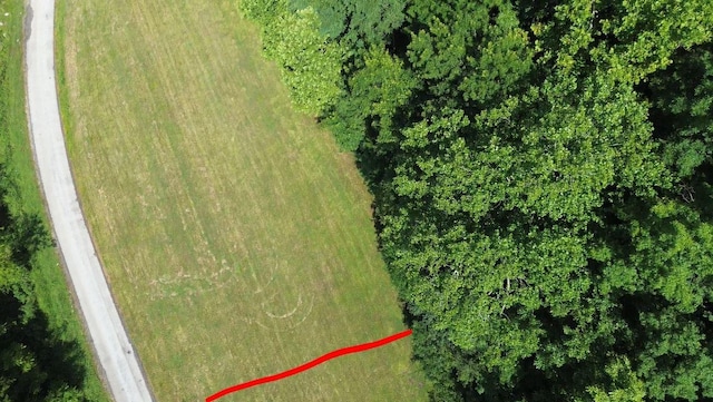 0 Hackett Hollow Ln, Pleasant Shade, TN 37145 - photo 12