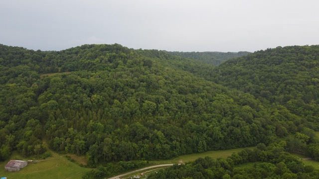 0 Hackett Hollow Ln, Pleasant Shade, TN 37145 - photo 7