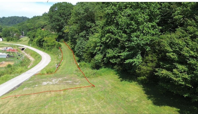 0 Hackett Hollow Ln, Pleasant Shade, TN 37145 - photo 10