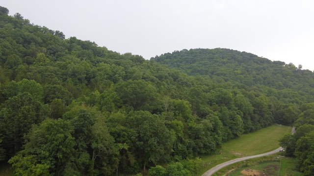 0 Hackett Hollow Ln, Pleasant Shade, TN 37145 - photo 8