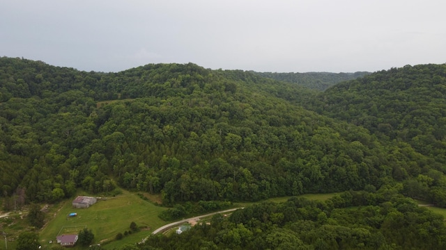 0 Hackett Hollow Ln, Pleasant Shade, TN 37145 - photo 6