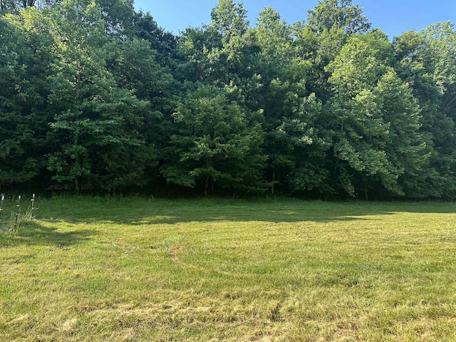 0 Hackett Hollow Ln, Pleasant Shade, TN 37145 - photo 4