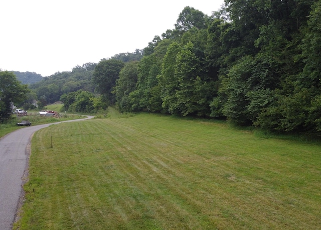 0 Hackett Hollow Ln, Pleasant Shade, TN 37145 - photo 2