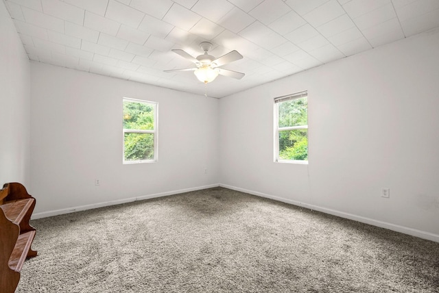 1460 Long Creek Rd, Dover, TN 37058 - photo 20