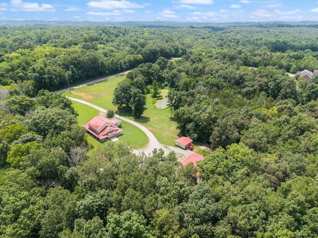 2820 Owl Hollow Rd, Franklin, TN 37064 - photo 8