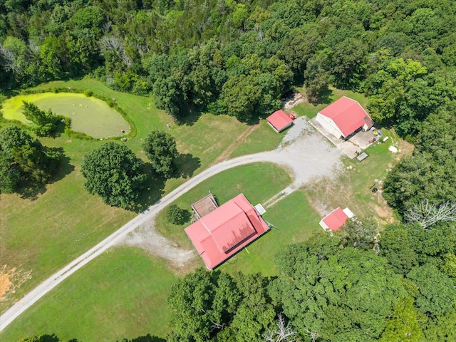 2820 Owl Hollow Rd, Franklin, TN 37064 - photo 7