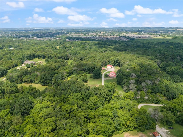 2820 Owl Hollow Rd, Franklin, TN 37064 - photo 3