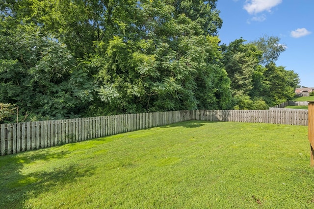 962 Russet Dr, Clarksville, TN 37040 - photo 6