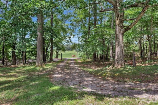 8340 Pinewood Rd, Lyles, TN 37098 - photo 35
