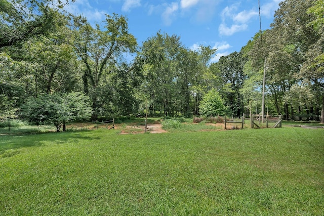 8340 Pinewood Rd, Lyles, TN 37098 - photo 32