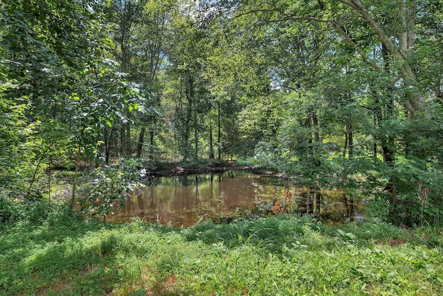 8340 Pinewood Rd, Lyles, TN 37098 - photo 34