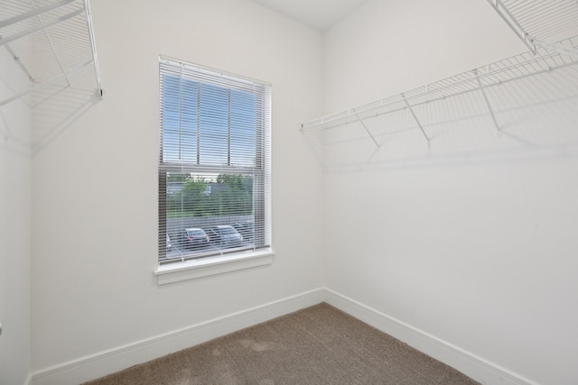126 Hartsville Ct, Lebanon, TN 37087 - photo 34