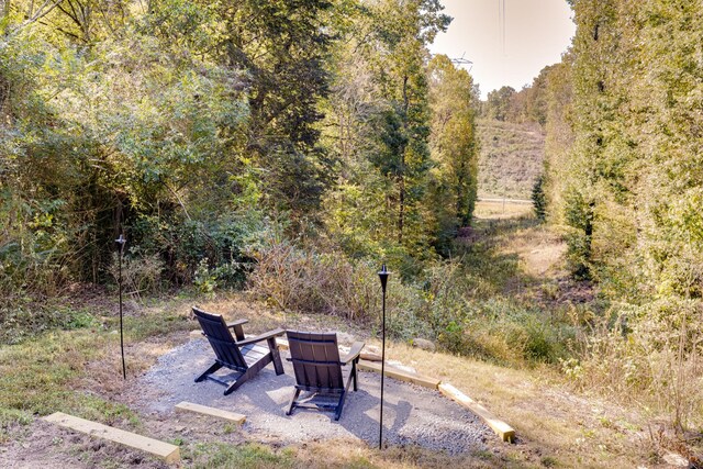 3993 Johnson Hollow Rd, Thompsons Station, TN 37179 - photo 28