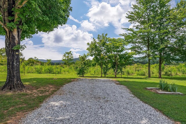 1032 Hills Creek Rd, Mcminnville, TN 37110 - photo 37