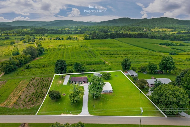 1032 Hills Creek Rd, Mcminnville, TN 37110 - photo 42