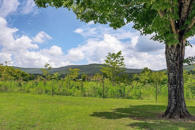 1032 Hills Creek Rd, Mcminnville, TN 37110 - photo 38