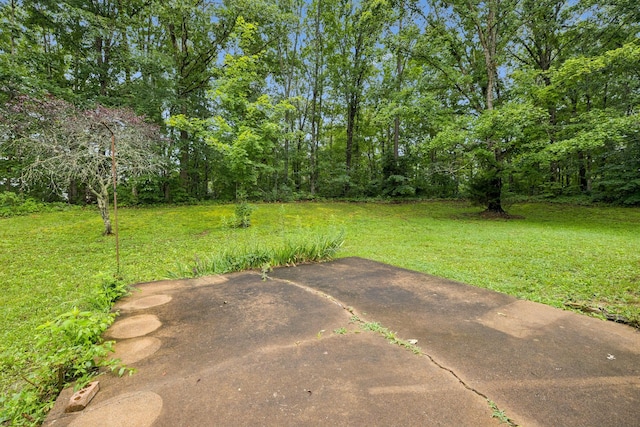 6120 Primm Springs Rd, Lyles, TN 37098 - photo 34