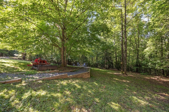 1441 Chestnut Gap Rd, Blue Ridge, GA 30513 - photo 8