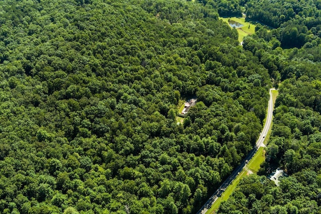 1441 Chestnut Gap Rd, Blue Ridge, GA 30513 - photo 60