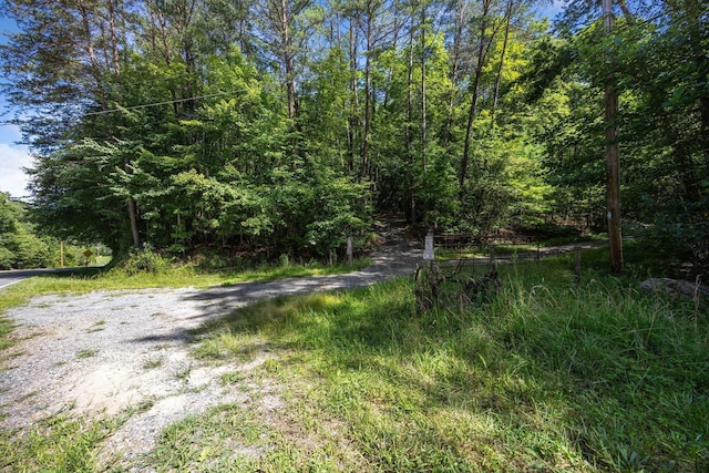 1441 Chestnut Gap Rd, Blue Ridge, GA 30513 - photo 40
