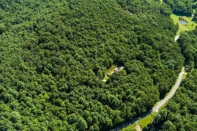 1441 Chestnut Gap Rd, Blue Ridge, GA 30513 - photo 59