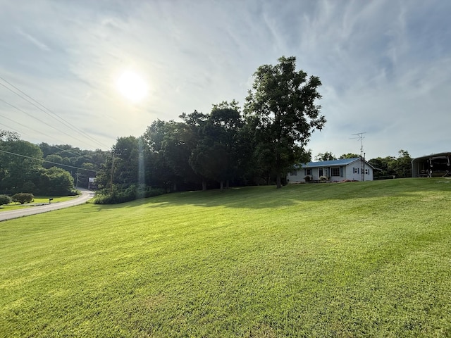 13067 Johnson Mill Rd, Crofton, KY 42217 - photo 19