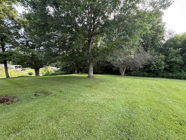 13067 Johnson Mill Rd, Crofton, KY 42217 - photo 22