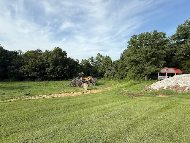 13067 Johnson Mill Rd, Crofton, KY 42217 - photo 23