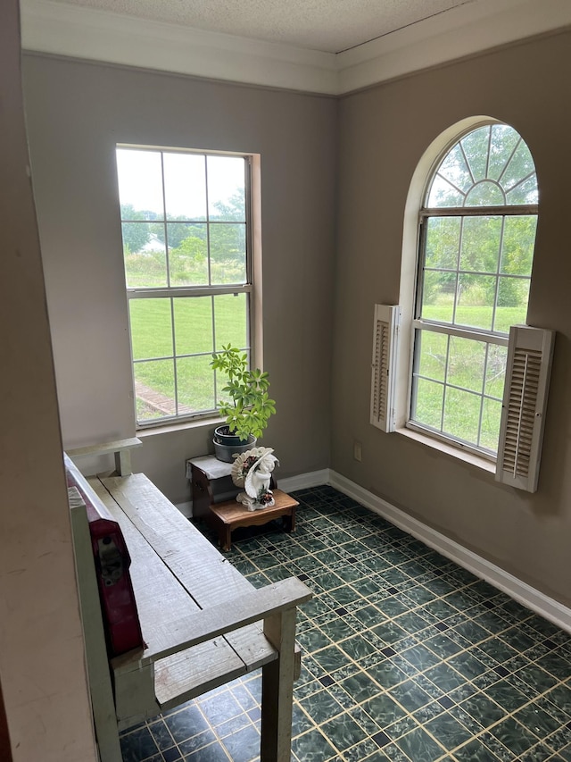 601 Halls Mill Rd, Shelbyville, TN 37160 - photo 18