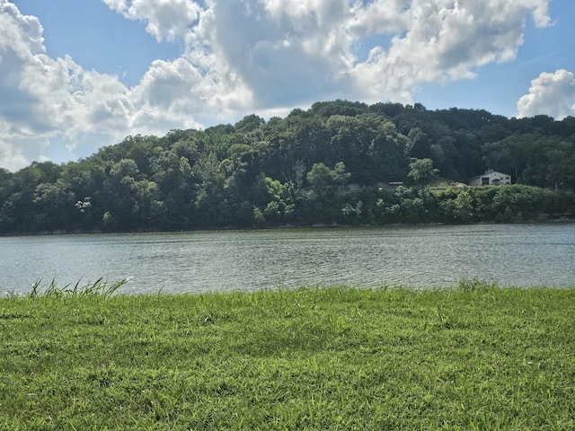 0 Hardin Bottom River Rd, Clifton, TN 38425 - photo 3