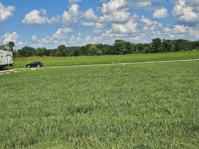 0 Hardin Bottom River Rd, Clifton, TN 38425 - photo 4