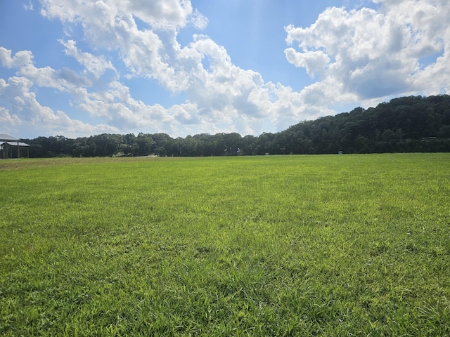 0 Hardin Bottom River Rd, Clifton, TN 38425 - photo 5