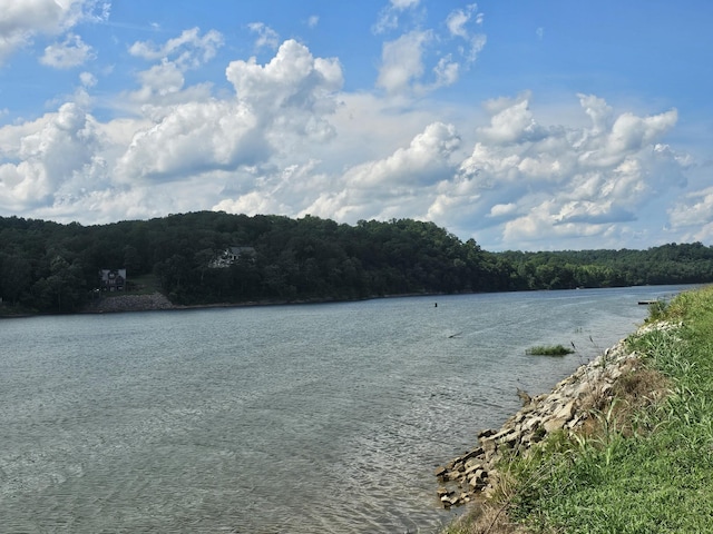 0 Hardin Bottom River Rd, Clifton, TN 38425 - photo 1