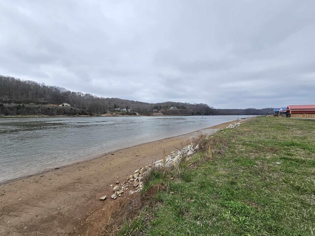 1901 Hardin Bottom River Rd, Clifton, TN 38425 - photo 2
