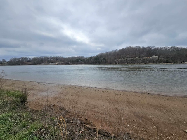 1901 Hardin Bottom River Rd, Clifton, TN 38425 - photo 9