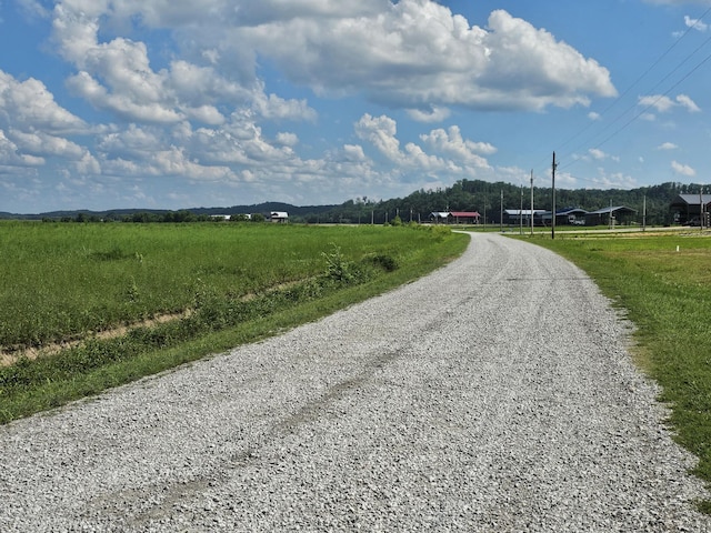 1901 Hardin Bottom River Rd, Clifton, TN 38425 - photo 3