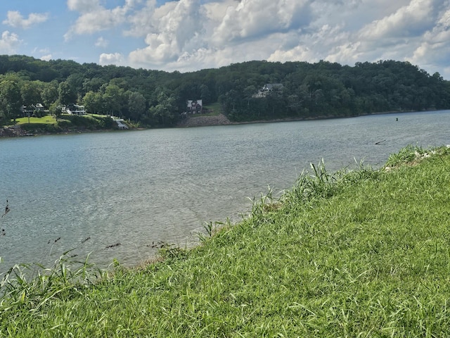 1901 Hardin Bottom River Rd, Clifton, TN 38425 - photo 4
