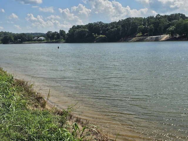 1901 Hardin Bottom River Rd, Clifton, TN 38425 - photo 1